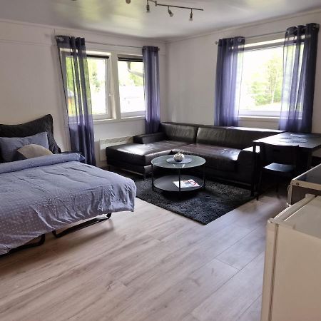 Dalen Studio 3 Eksteriør bilde