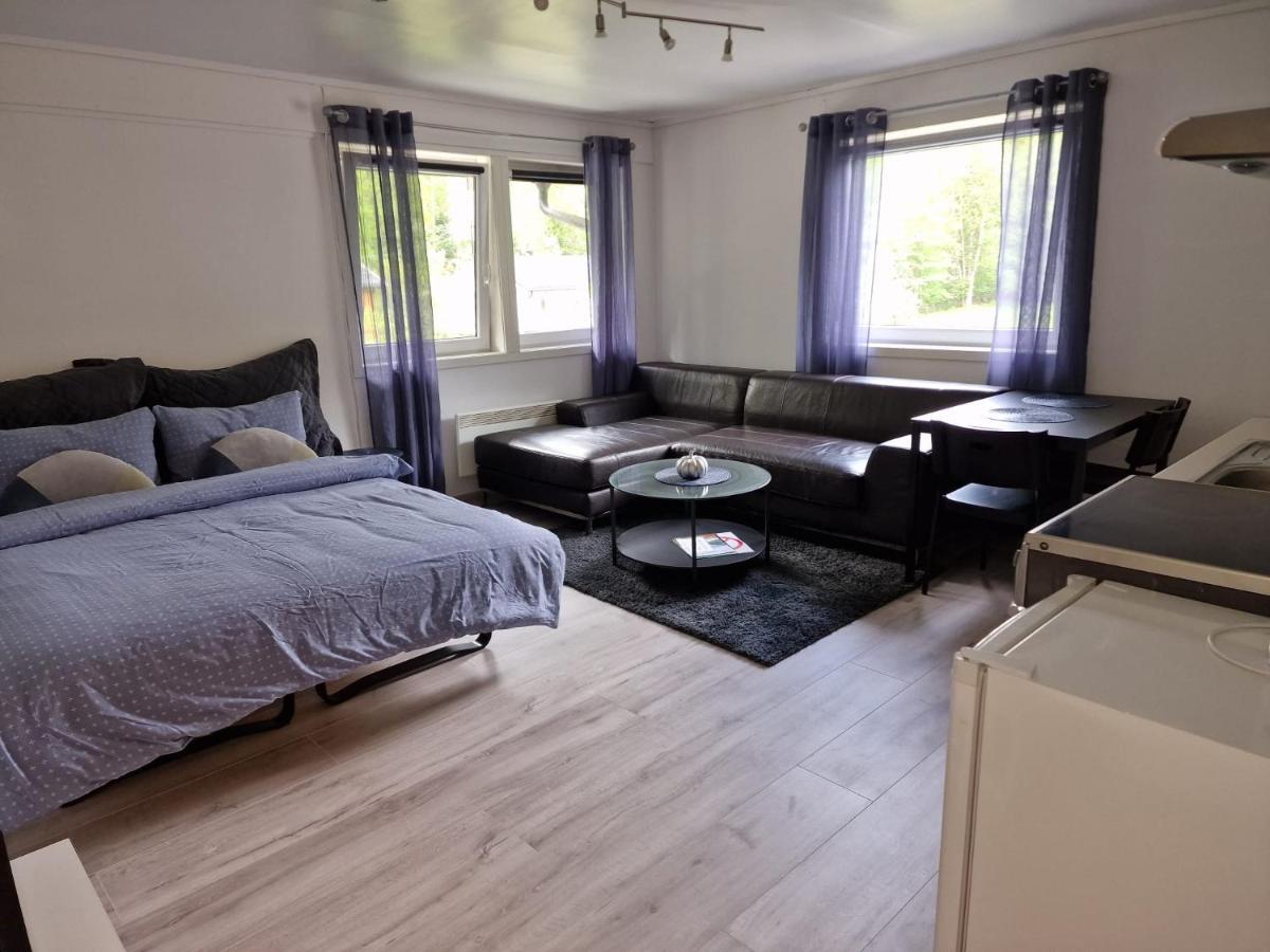 Dalen Studio 3 Eksteriør bilde